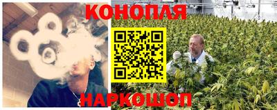 крисы Будённовск