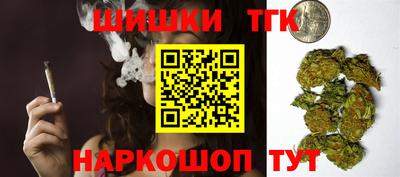 гидропоника Тула