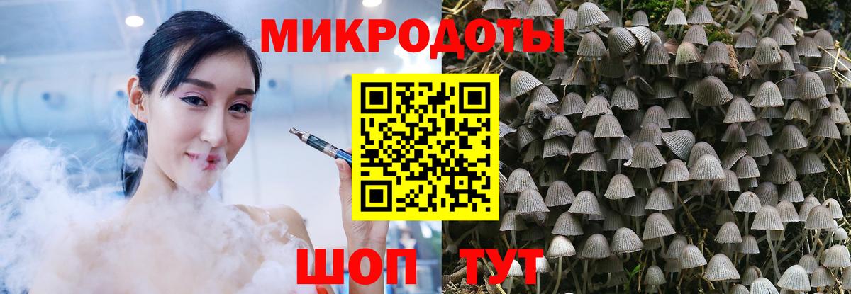 Новоуральск  Псилоцибиновые грибы Cubensis  Вход с VPN 